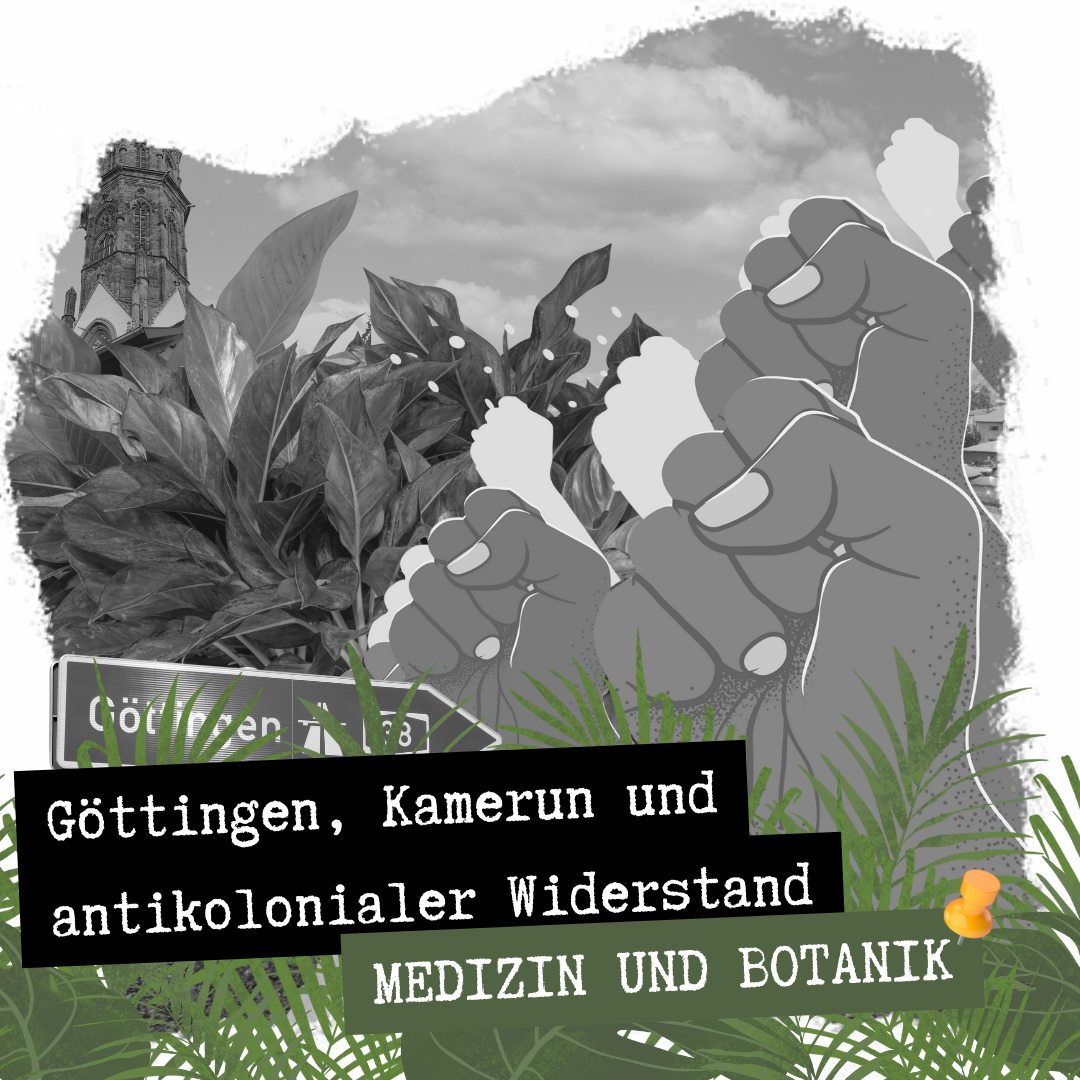 Göttingen, Kamerun und der antikoloniale Widerstand (TEIL 2 – Botanik und Medizin)